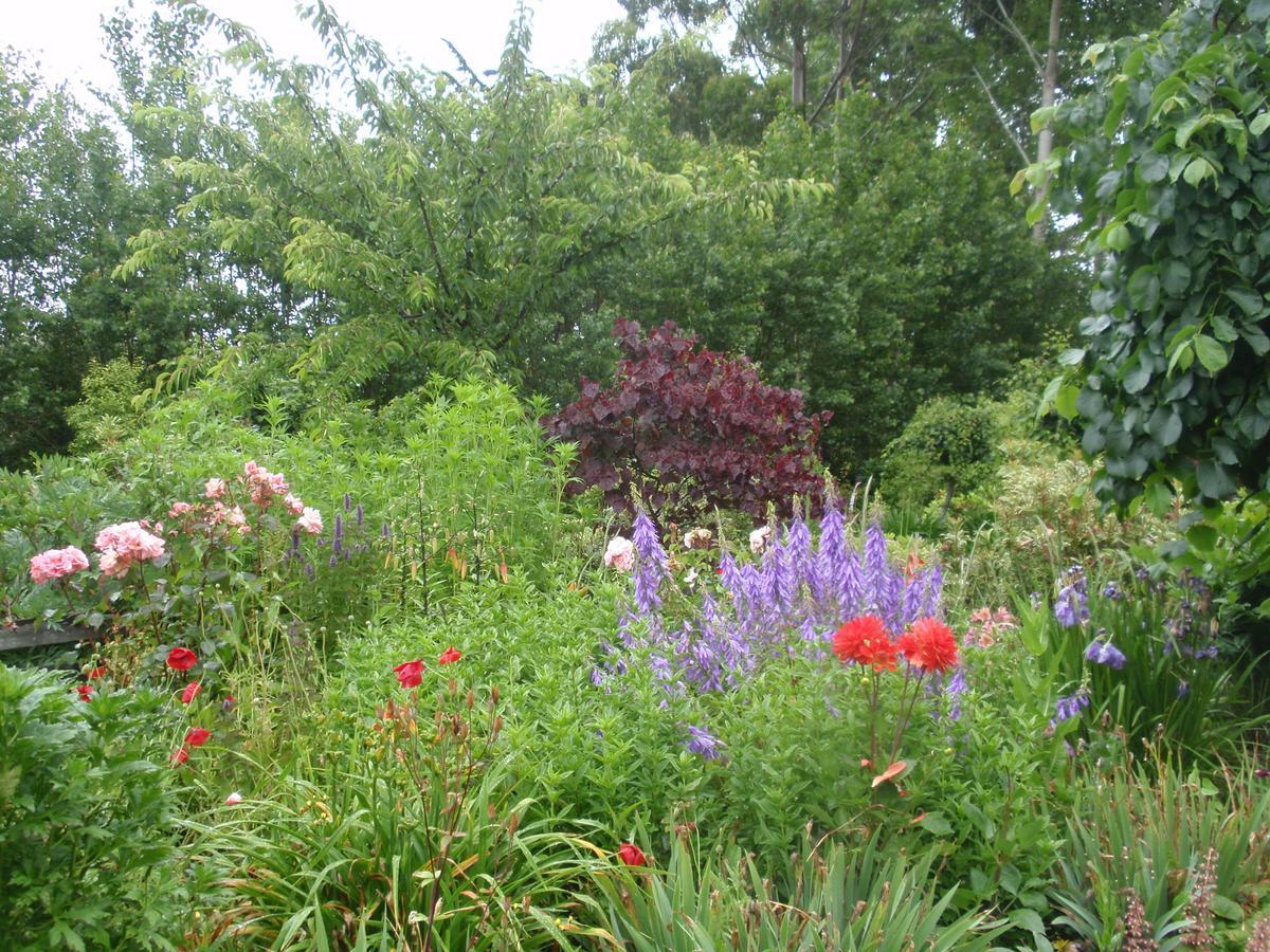 Folster Gardens Bed And Breakfast 인버카길 외부 사진